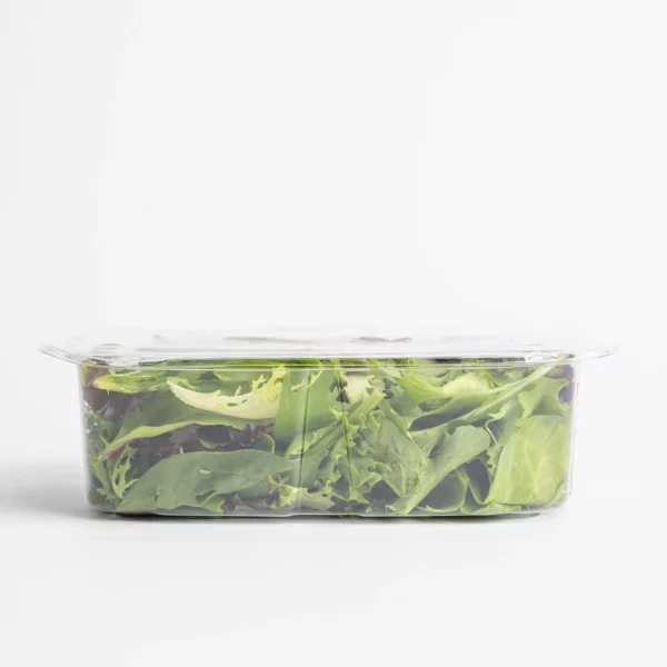 5 oz lettuce container 1600 x 1600